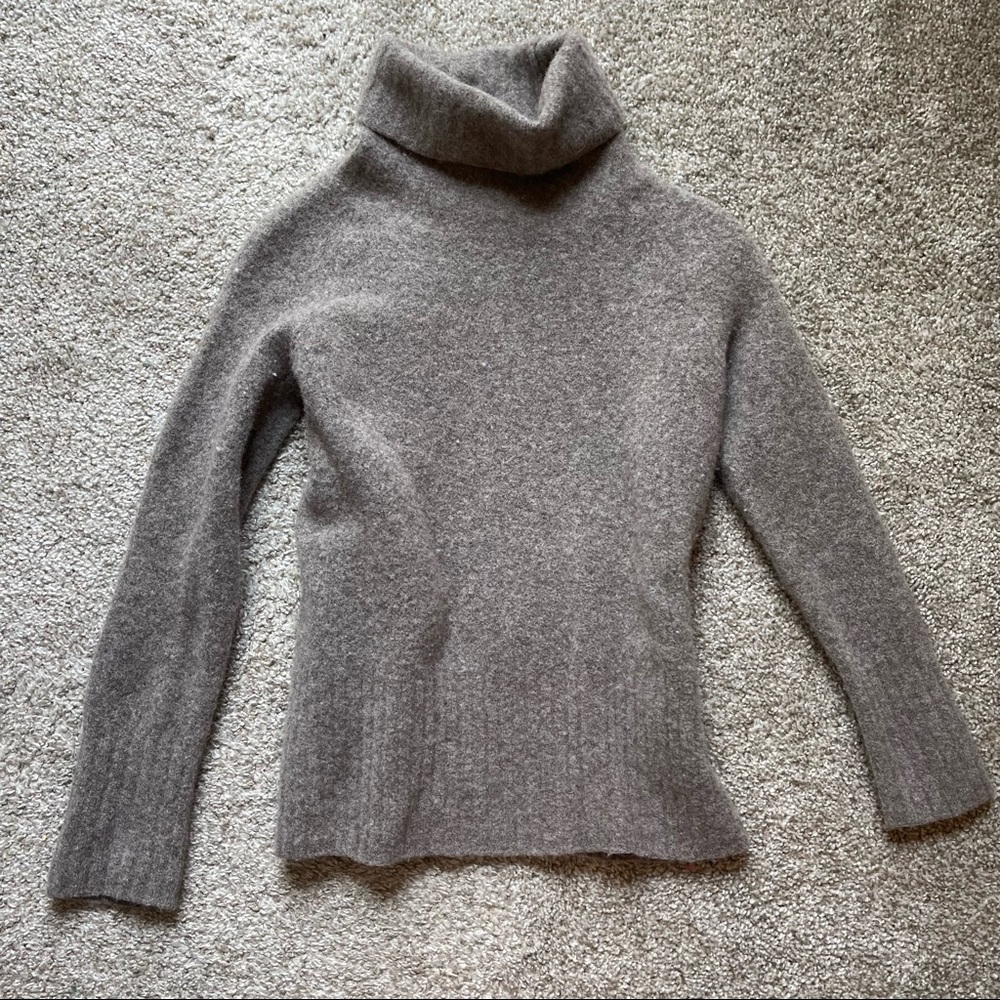 Aritzia turtleneck sweater